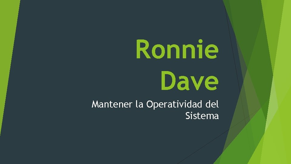 Ronnie Dave Mantener la Operatividad del Sistema 