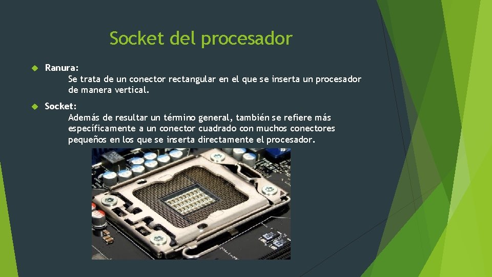 Socket del procesador Ranura: Se trata de un conector rectangular en el que se