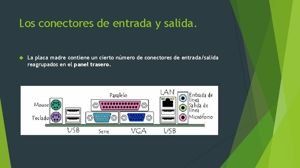 Los conectores de entrada y salida. La placa madre contiene un cierto número de