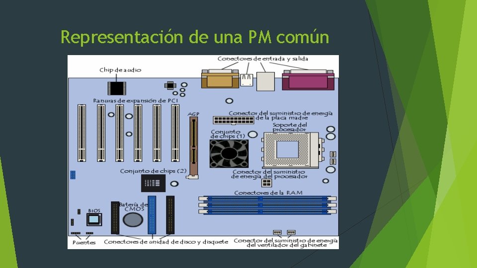 Representación de una PM común 