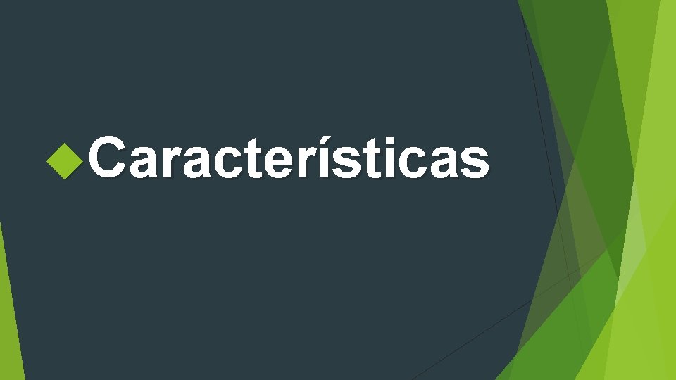  Características 