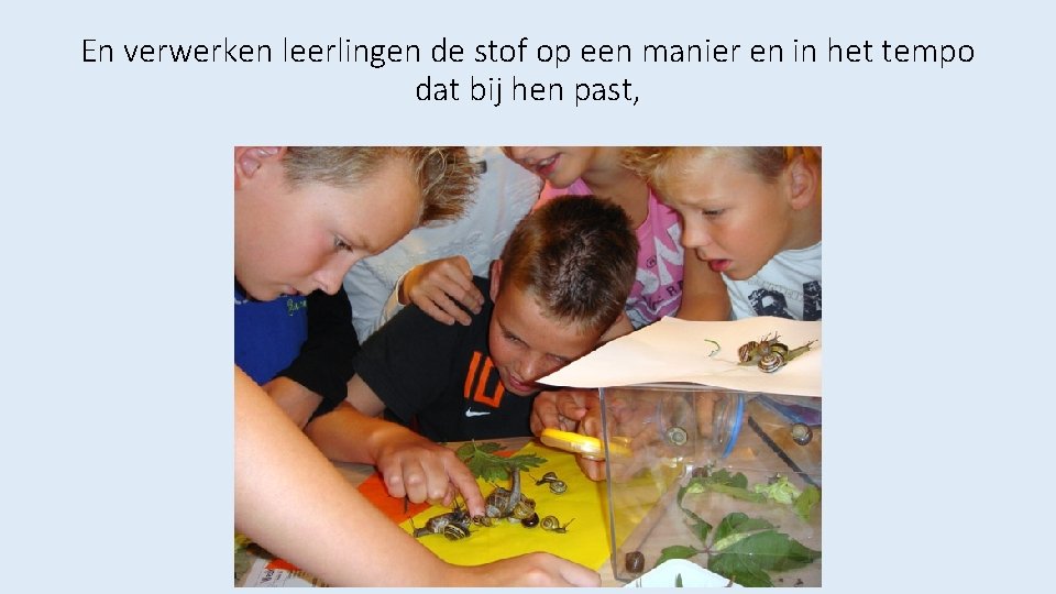 En verwerken leerlingen de stof op een manier en in het tempo dat bij