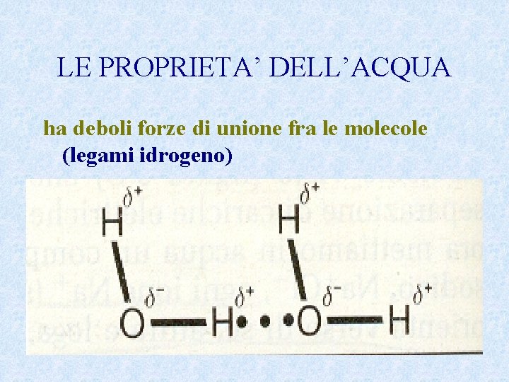 LE PROPRIETA’ DELL’ACQUA ha deboli forze di unione fra le molecole (legami idrogeno) 