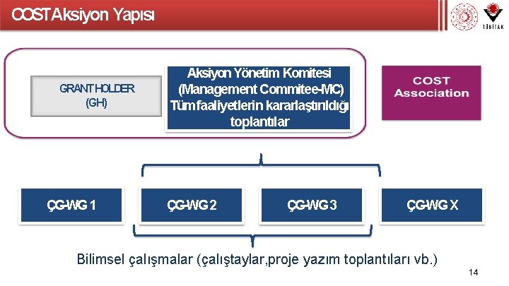 COSTAksiyon Yapısı GRANT HOLDER (GH) ÇG-WG 1 Aksiyon Yönetim Komitesi (Management Commitee-MC) Tüm faaliyetlerin