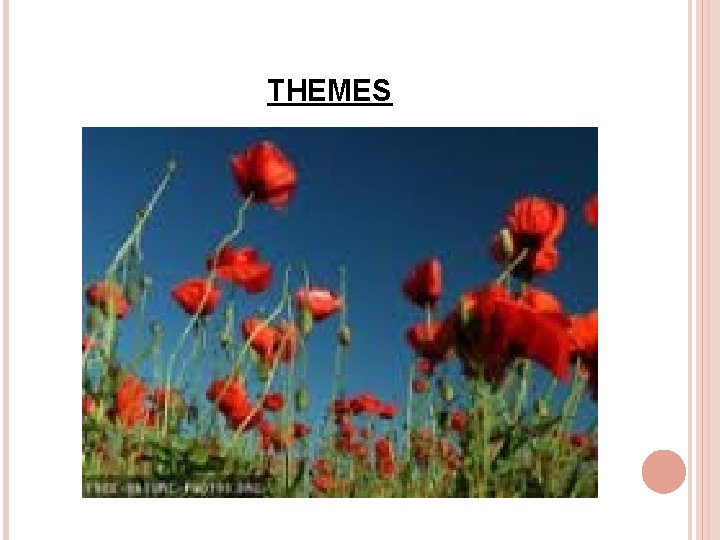 THEMES 