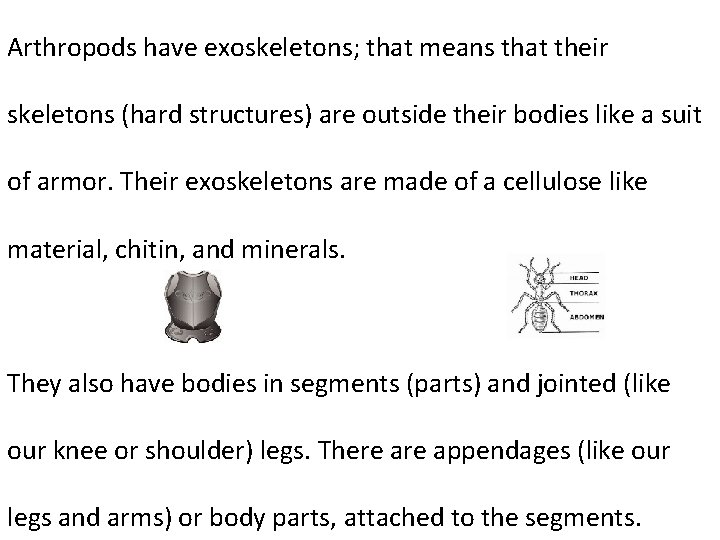 Arthropods have exoskeletons; that means that their skeletons (hard structures) are outside their bodies