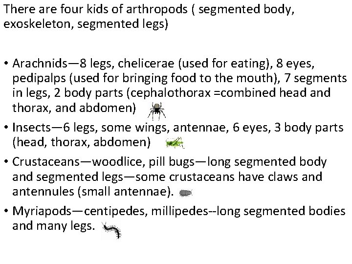 There are four kids of arthropods ( segmented body, exoskeleton, segmented legs) • Arachnids—