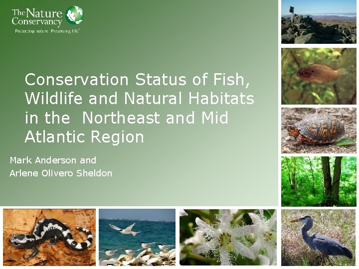 Conservation Status of Fish, Wildlife and Natural Habitats in the Northeast and Mid Atlantic