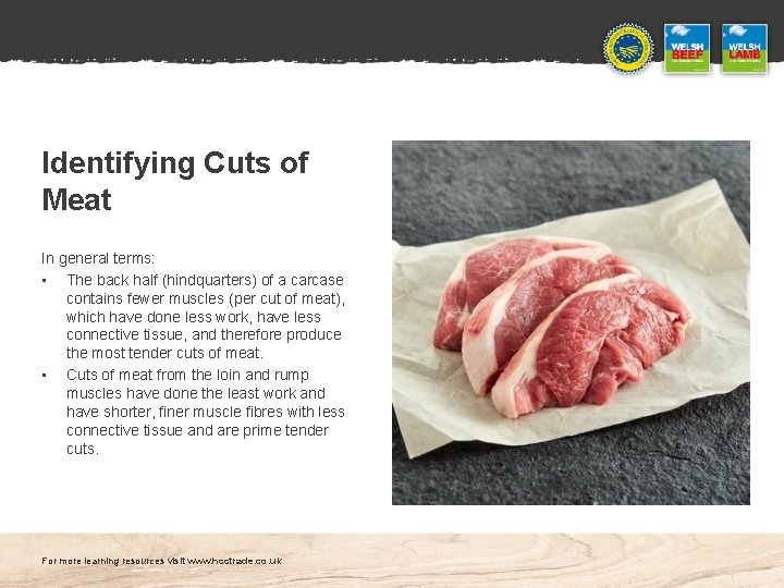 Identifying Cuts of Meat In general terms: • The back half (hindquarters) of a
