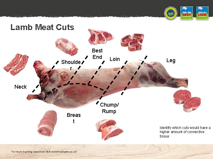 Lamb Meat Cuts Shoulde r Best End Loin Leg Neck Breas t Chump/ Rump