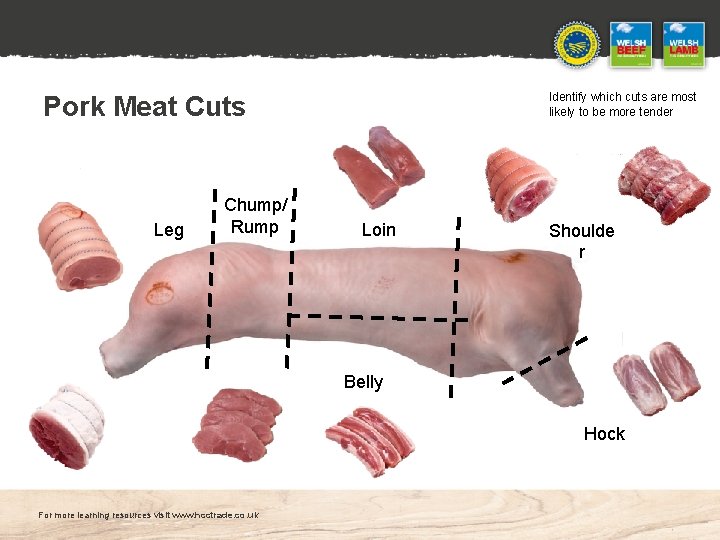 Pork Meat Cuts Leg Chump/ Rump Identify which cuts are most likely to be