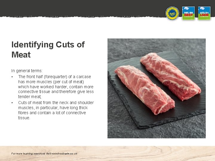 Identifying Cuts of Meat In general terms: • The front half (forequarter) of a