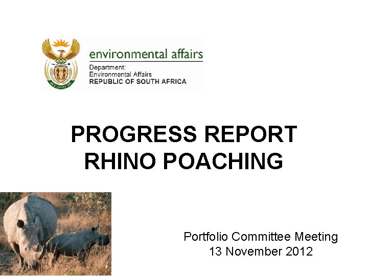 PROGRESS REPORT RHINO POACHING Portfolio Committee Meeting 13 November 2012 