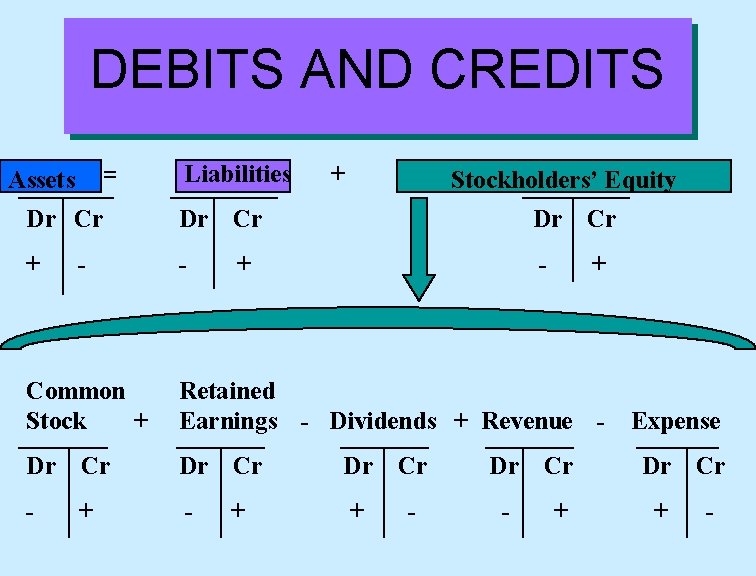 DEBITS AND CREDITS Assets = Assets Liabilities + Stockholders’ Equity Dr Cr + -