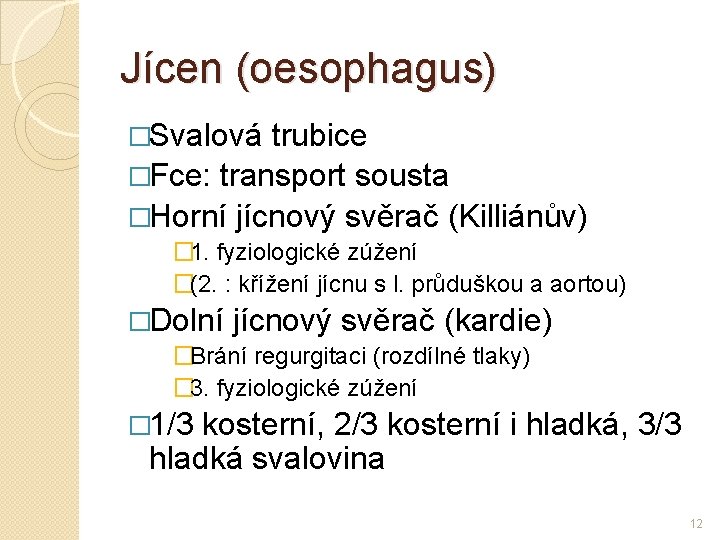 Jícen (oesophagus) �Svalová trubice �Fce: transport sousta �Horní jícnový svěrač (Killiánův) � 1. fyziologické