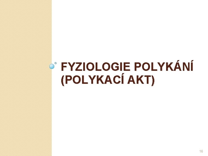 FYZIOLOGIE POLYKÁNÍ (POLYKACÍ AKT) 16 