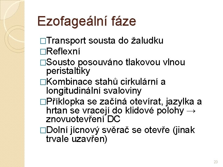 Ezofageální fáze �Transport sousta do žaludku �Reflexní �Sousto posouváno tlakovou vlnou peristaltiky �Kombinace stahů