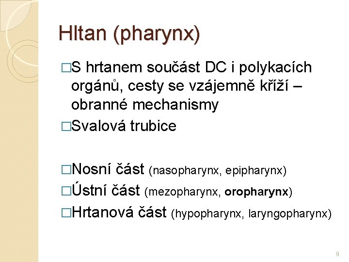 Hltan (pharynx) �S hrtanem součást DC i polykacích orgánů, cesty se vzájemně kříží –