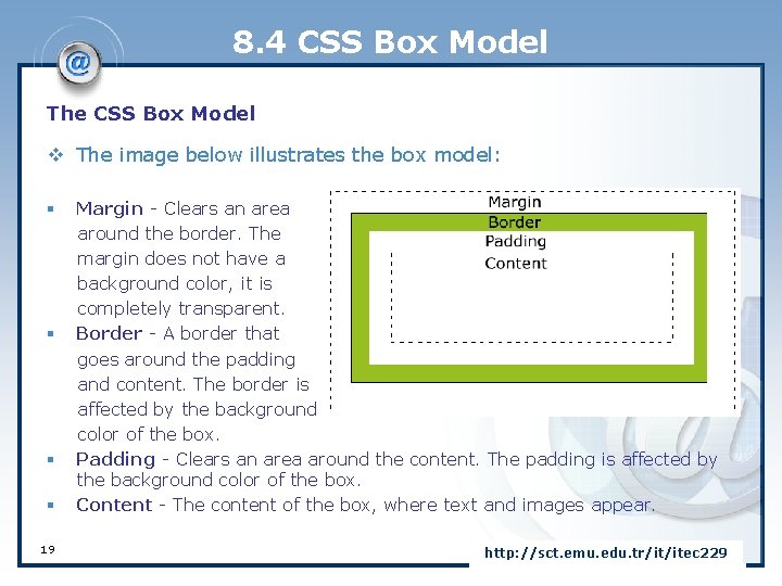 8. 4 CSS Box Model The CSS Box Model v The image below illustrates