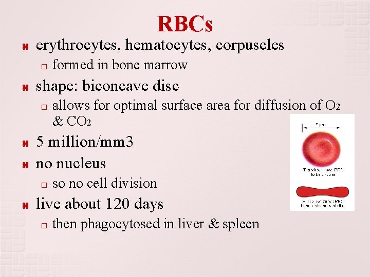 BLOOD CARDIOVASCULAR SYSTEM PART 1 FUNCTIONS of BLOOD