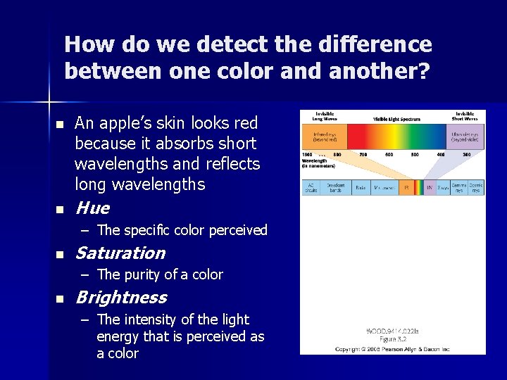 How do we detect the difference between one color and another? n n An How do we detect the difference between one color and another? n n An