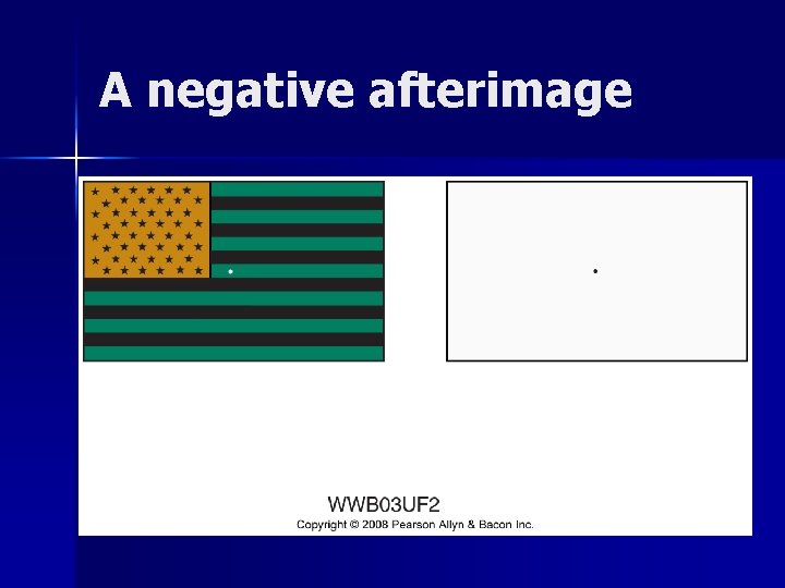 A negative afterimage A negative afterimage