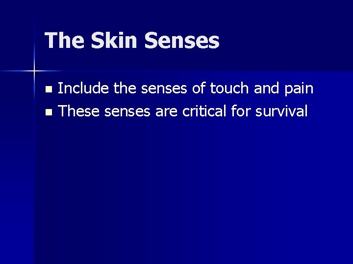 The Skin Senses Include the senses of touch and pain n These senses are The Skin Senses Include the senses of touch and pain n These senses are
