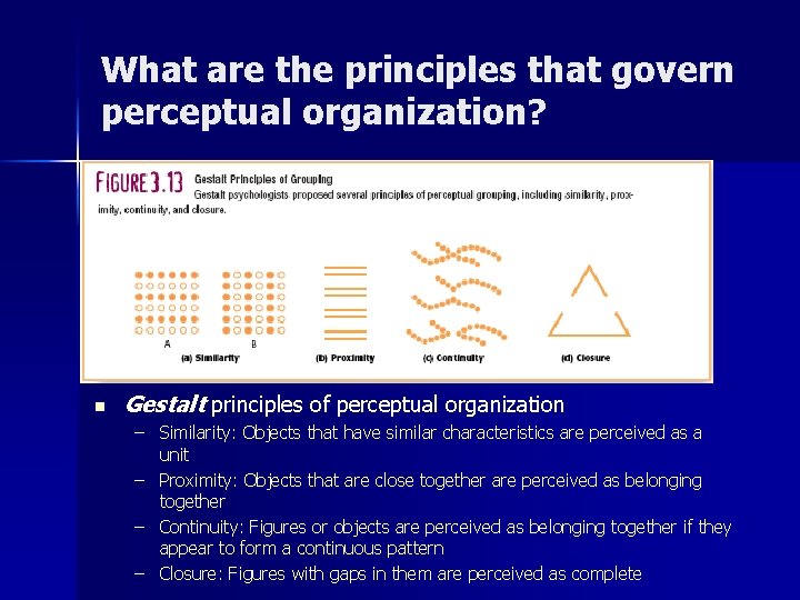 What are the principles that govern perceptual organization? n Gestalt principles of perceptual organization What are the principles that govern perceptual organization? n Gestalt principles of perceptual organization