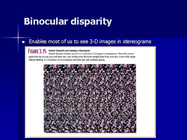 Binocular disparity n Enables most of us to see 3 -D images in stereograms Binocular disparity n Enables most of us to see 3 -D images in stereograms