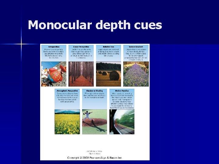 Monocular depth cues Monocular depth cues