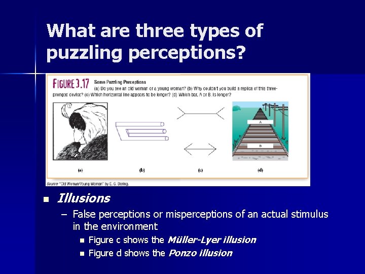 What are three types of puzzling perceptions? n Illusions – False perceptions or misperceptions What are three types of puzzling perceptions? n Illusions – False perceptions or misperceptions