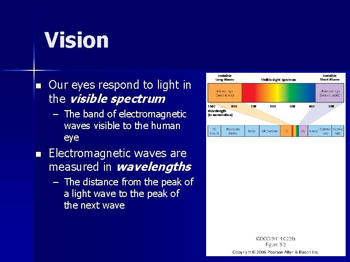 Vision n Our eyes respond to light in the visible spectrum – The band Vision n Our eyes respond to light in the visible spectrum – The band