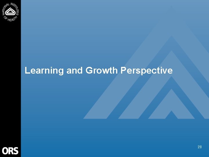 Learning and Growth Perspective 28 