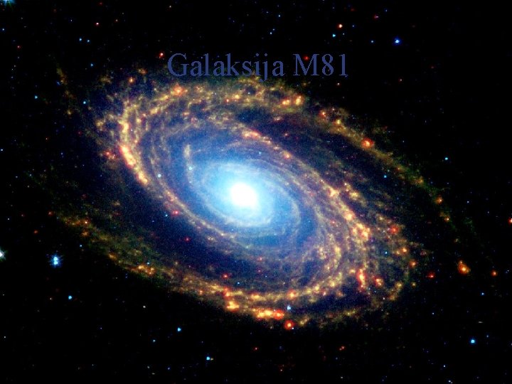 Galaksija M 81 @ Dr. Heinz Lycklama 12 