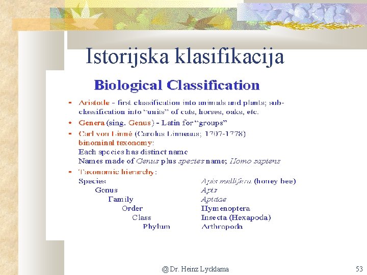 Istorijska klasifikacija @ Dr. Heinz Lycklama 53 