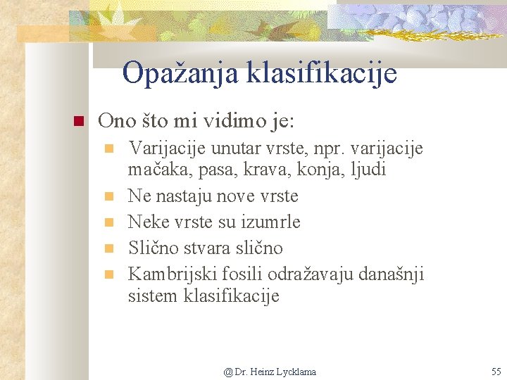 Opažanja klasifikacije Ono što mi vidimo je: Varijacije unutar vrste, npr. varijacije mačaka, pasa,