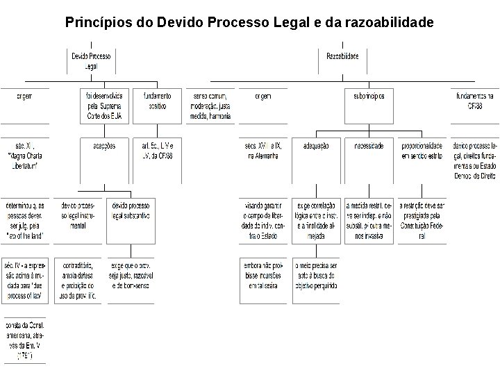 Princípios do Devido Processo Legal e da razoabilidade 
