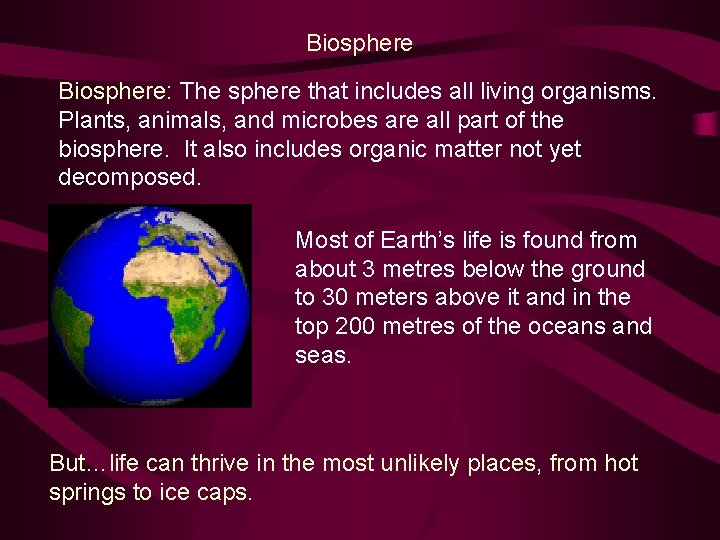 Biosphere: The sphere that includes all living organisms. Plants, animals, and microbes are all