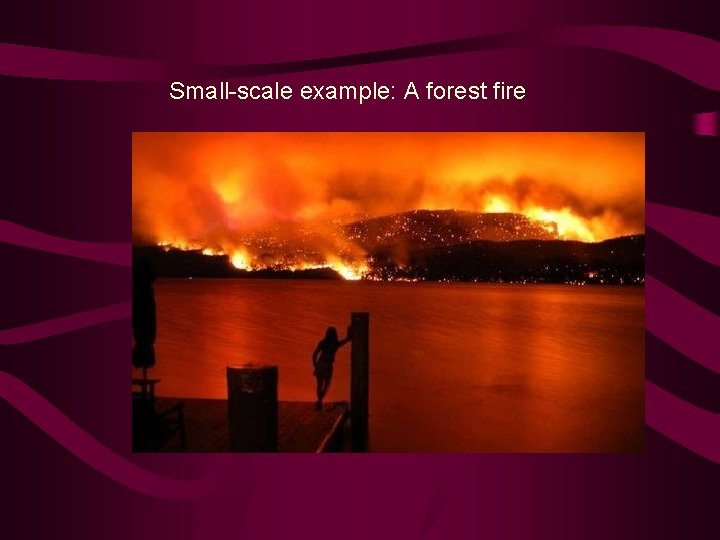 Small-scale example: A forest fire 