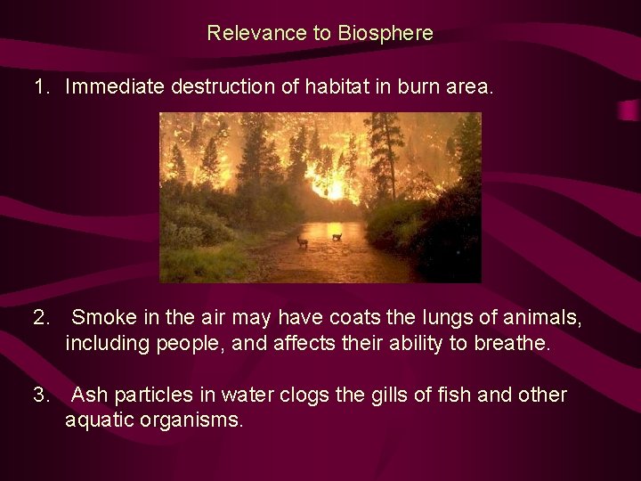 Relevance to Biosphere 1. Immediate destruction of habitat in burn area. 2. Smoke in