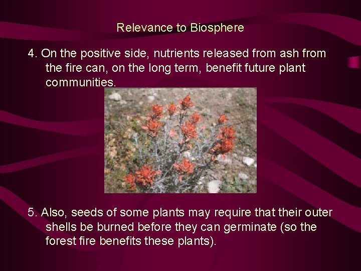 Relevance to Biosphere 4. On the positive side, nutrients released from ash from the