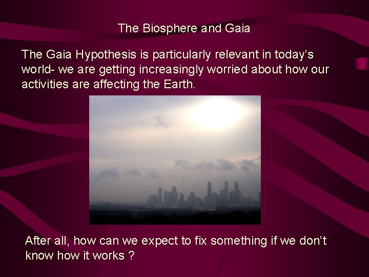 The Biosphere and Gaia The Gaia Hypothesis is particularly relevant in today’s world- we