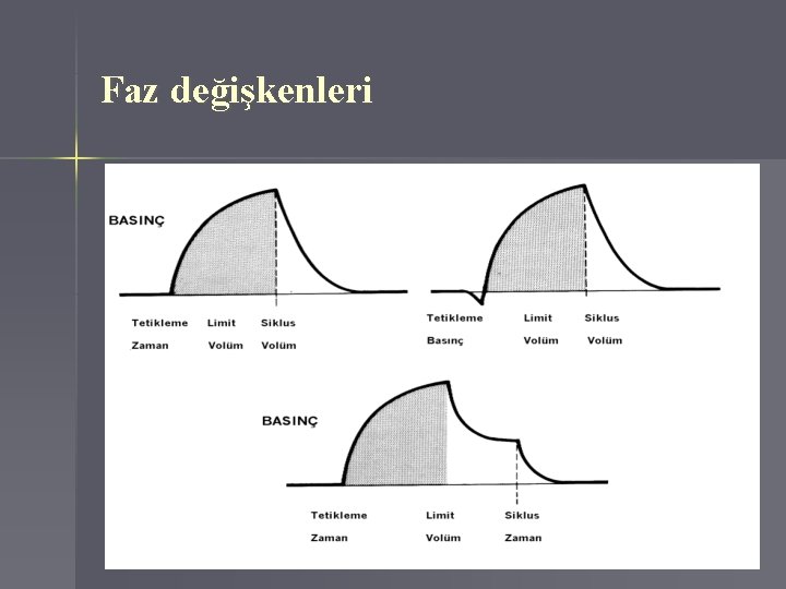 Faz değişkenleri 