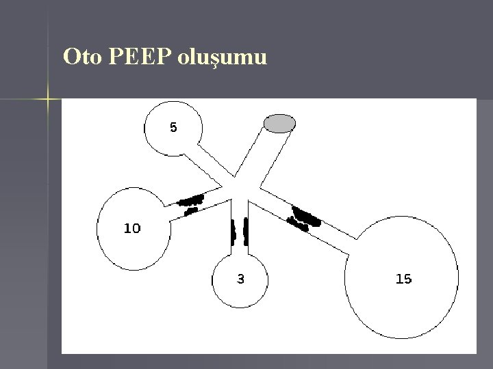 Oto PEEP oluşumu 