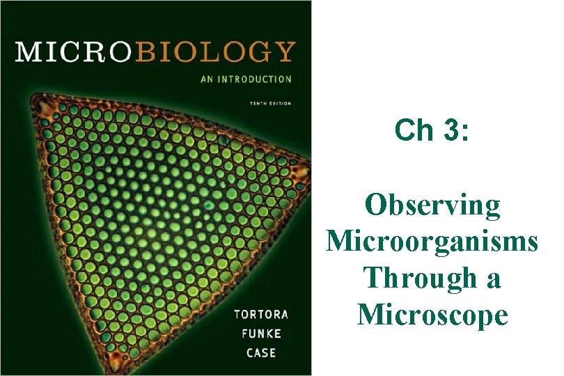 Ch 3: Observing Microorganisms Through a Microscope 