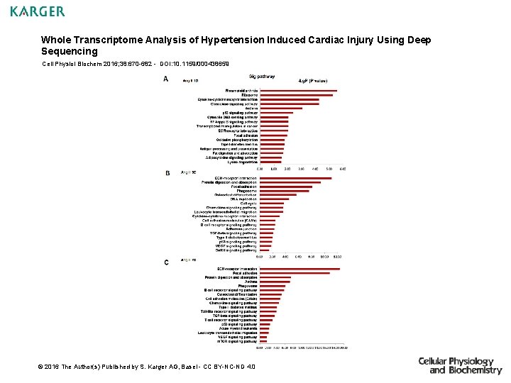 Whole Transcriptome Analysis of Hypertension Induced Cardiac Injury Using Deep Sequencing Cell Physiol Biochem