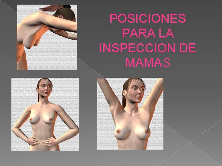 POSICIONES PARA LA INSPECCION DE MAMAS 