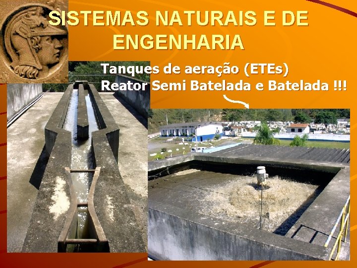 SISTEMAS NATURAIS E DE ENGENHARIA Tanques de aeração (ETEs) Reator Semi Batelada e Batelada