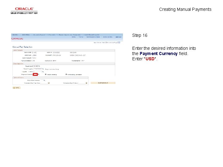 Creating Manual Payments Step 16 Enter the desired information into the Payment Currency field.