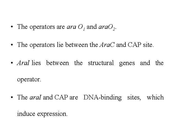  • The operators are ara O 1 and ara. O 2. • The